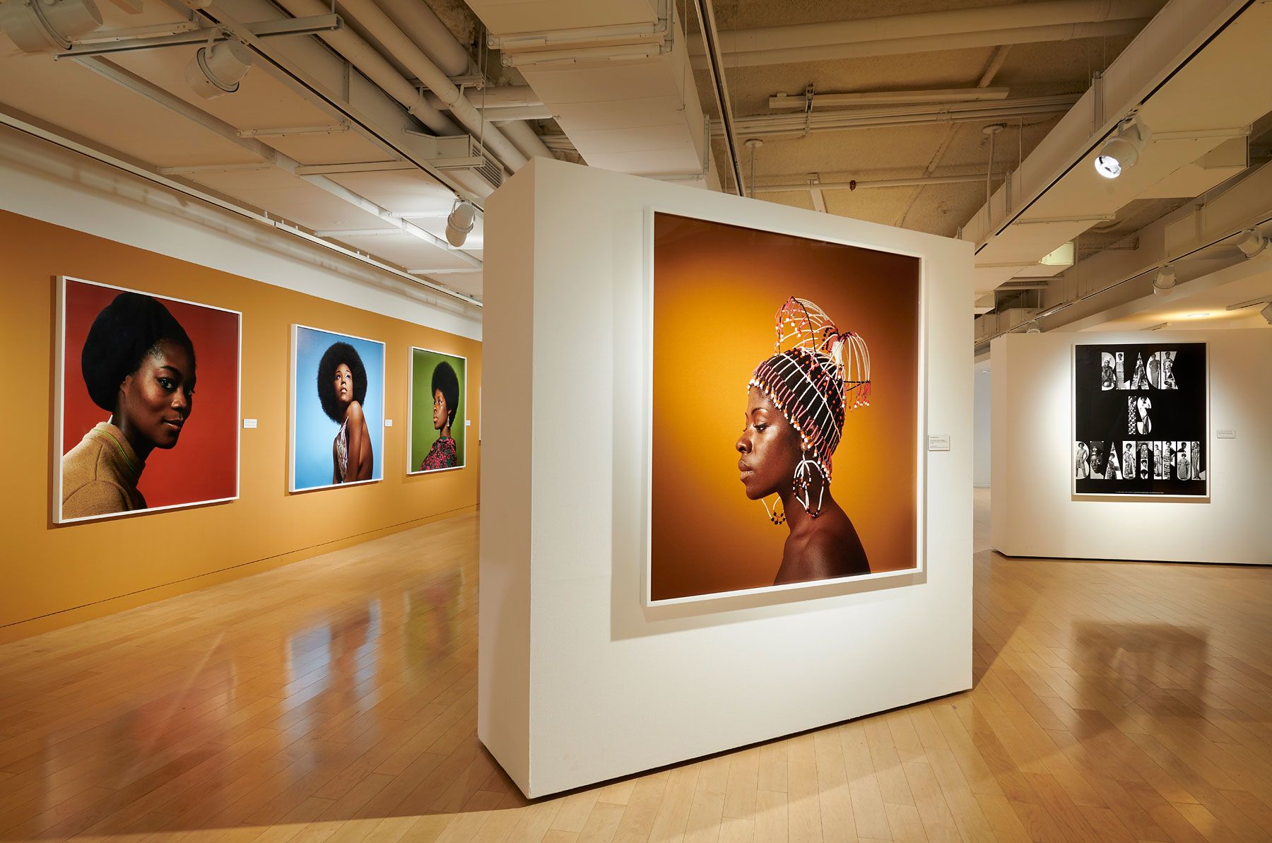 Meet SlideRoom Superstar the Museum of The African Diaspora